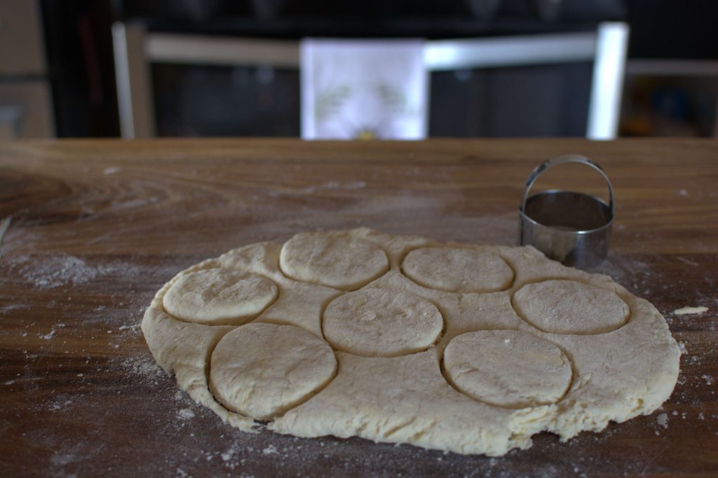 biscuit dough with biscuit cutter cut outs