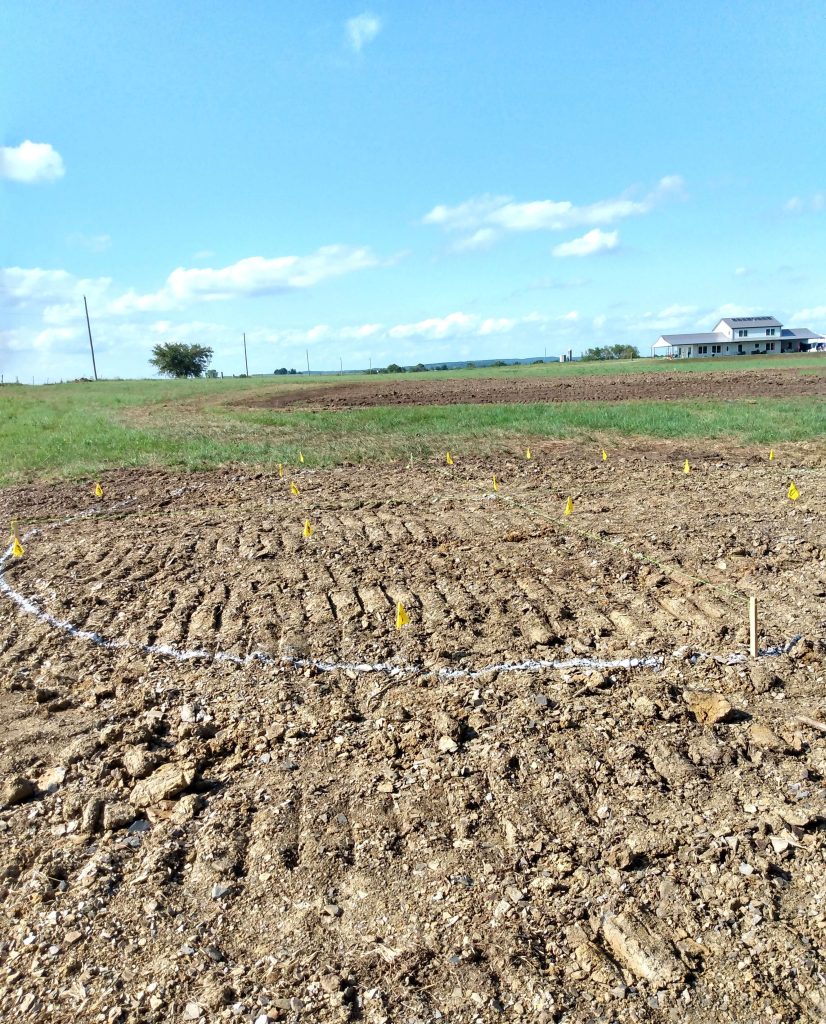 Circle marked out with yellow flags marking spots